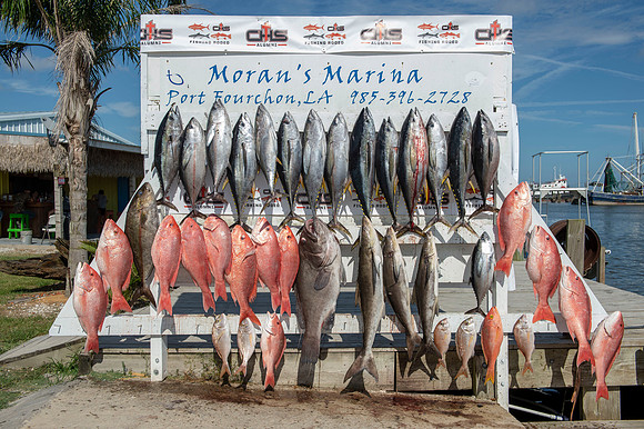 CHS fishing rodeo 2019 238