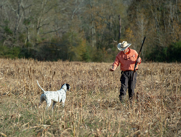 Field trial 045