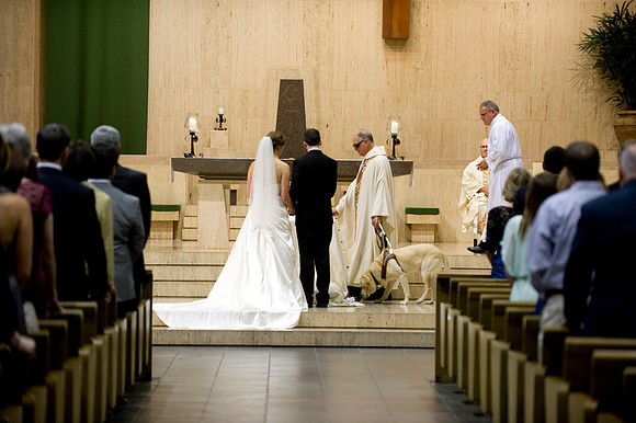 Ellen & Tim wedding 304