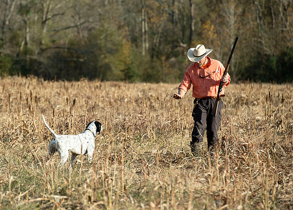 Field trial 044