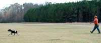 Field trial 002