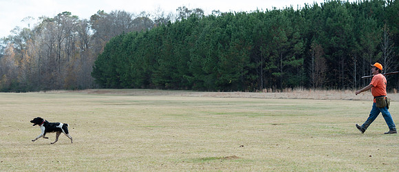 Field trial 002