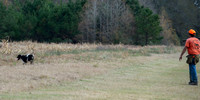 Field trial 003