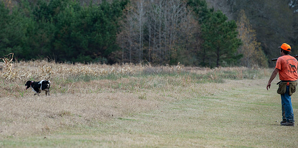 Field trial 003
