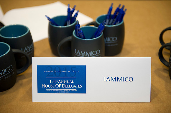 LSMS 2015 008