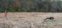 Field trial 012