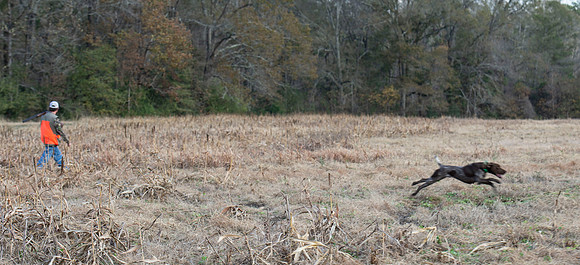 Field trial 012
