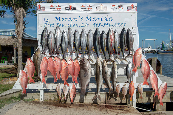 CHS fishing rodeo 2019 237