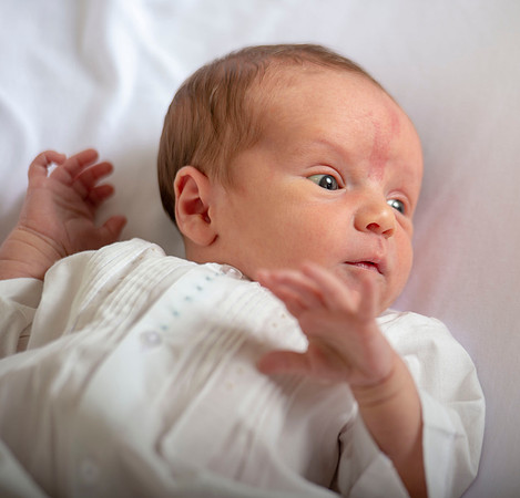 Conrad newborn 134
