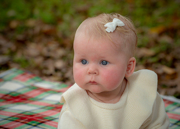 Kelley family 134