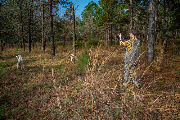Parnell quail hunt 026