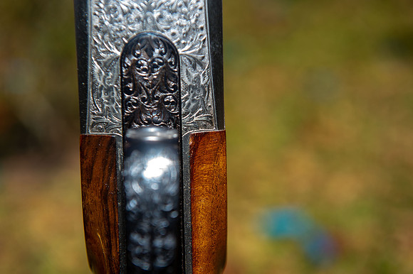 CCA sporting clays 250