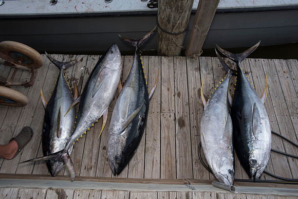 CHS fishing rodeo 2018 289