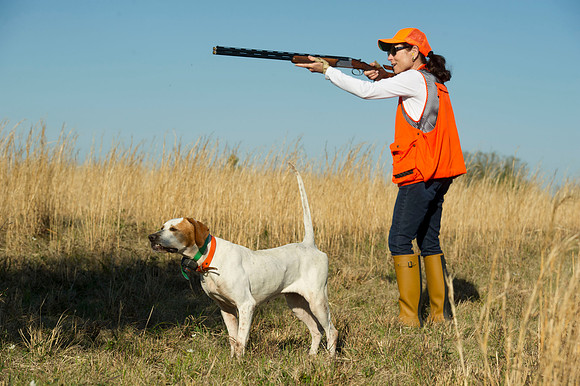 covey rise bird hunt 046