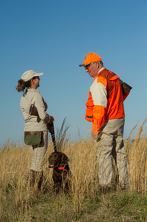 covey rise bird hunt 058