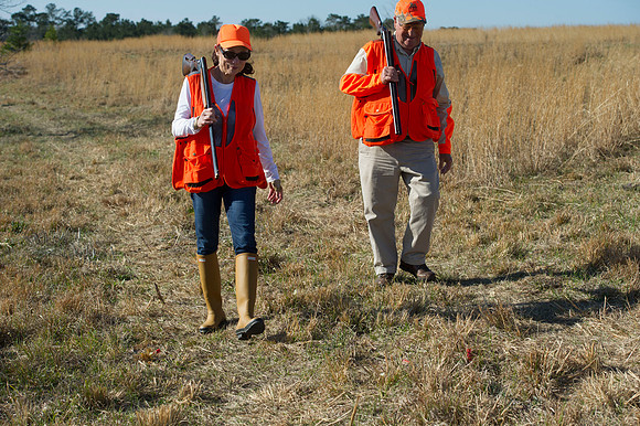 covey rise bird hunt 039
