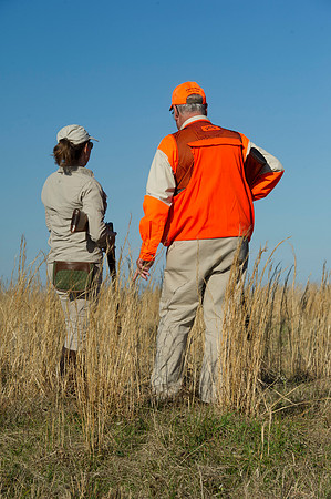 covey rise bird hunt 053