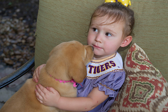 Jolie's puppys 058