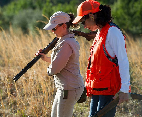 covey rise bird hunt 086