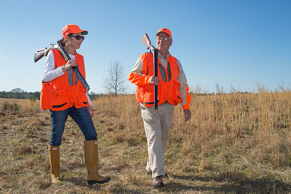 covey rise bird hunt 177