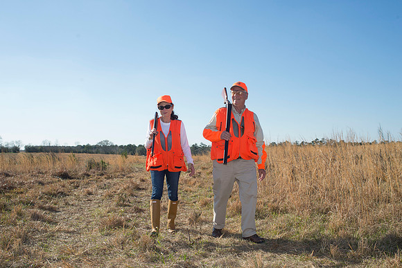 covey rise bird hunt 175