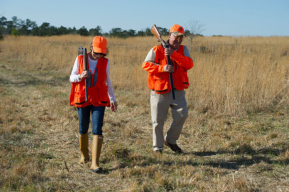 covey rise bird hunt 038