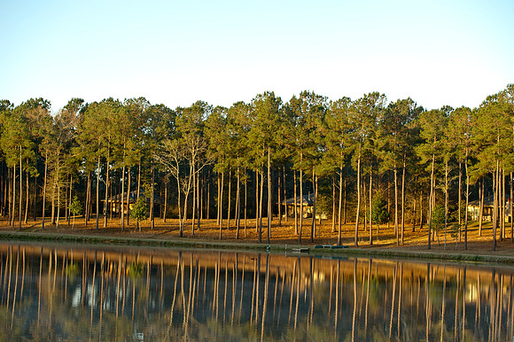 Covey Rise 122