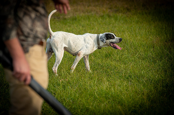 Hayes Garrett hunt 046