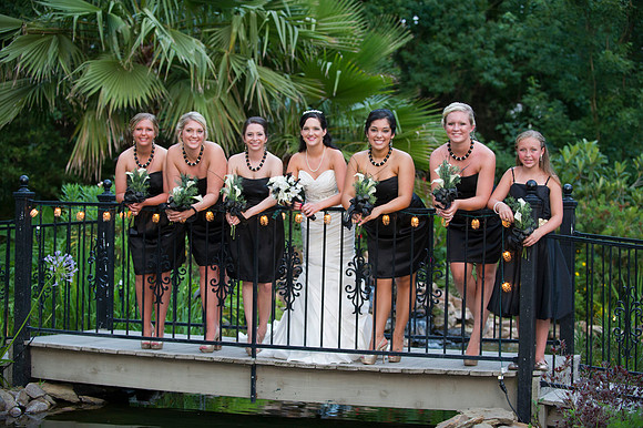 April & Whitney 295