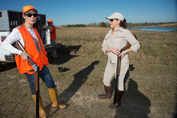 covey rise bird hunt 179