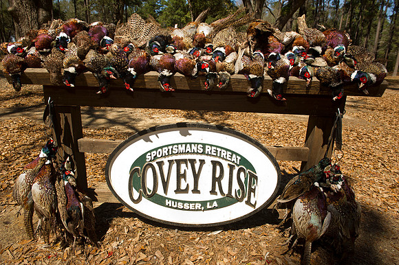 Covey Rise 070