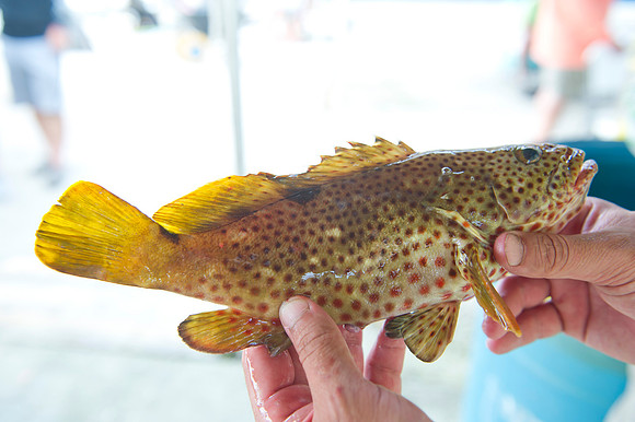 2016 CHS alumni Fishing rodeo 303