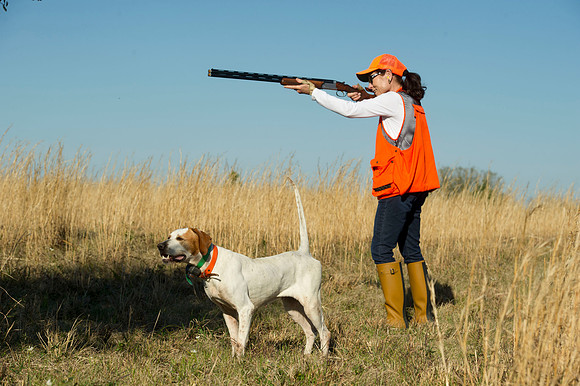 covey rise bird hunt 047