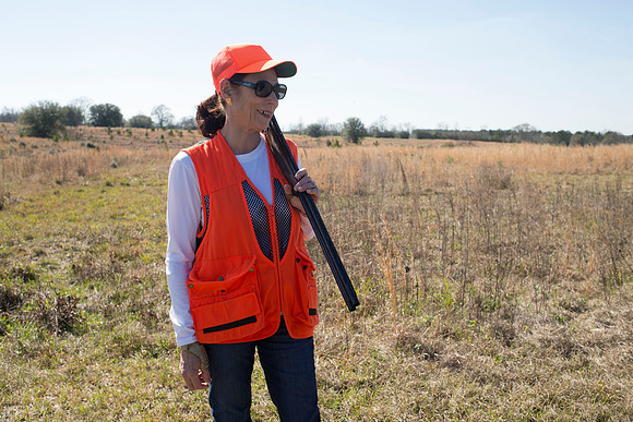 covey rise bird hunt 123
