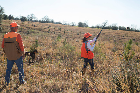 covey rise bird hunt 170