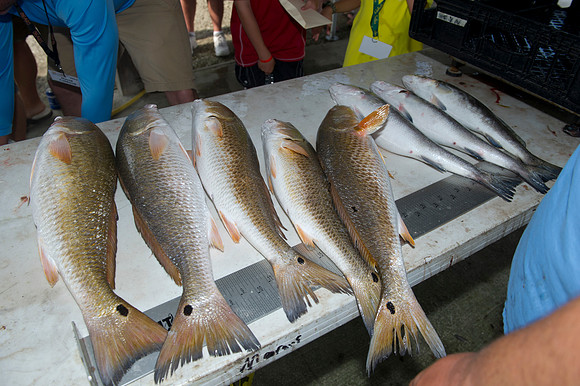 CHS Alumni Fishing Rodeo 2014 0243