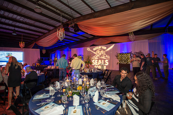 SEALS  245