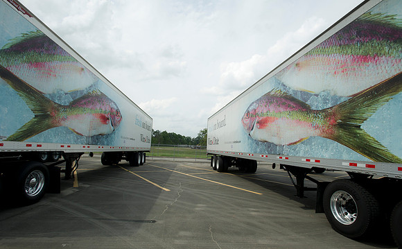 Truck driving championships 102