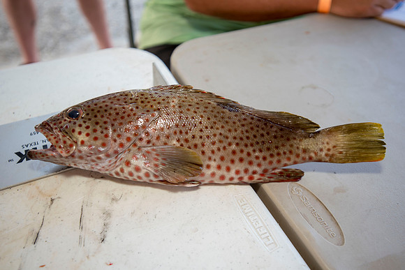 CHS fishing rodeo 2018 142
