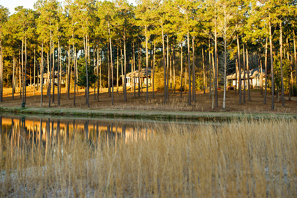 Covey Rise 117