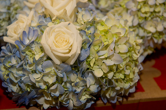 Meghan & Cory 041