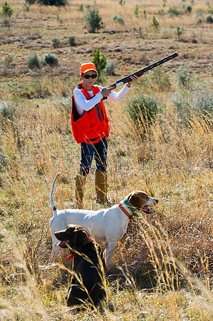 covey rise bird hunt 018
