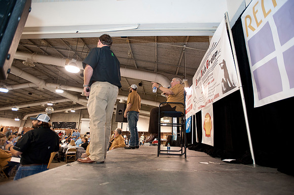 Ascension Chapter 231