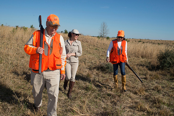 covey rise bird hunt 163