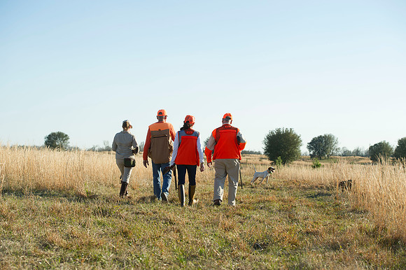 covey rise bird hunt 094