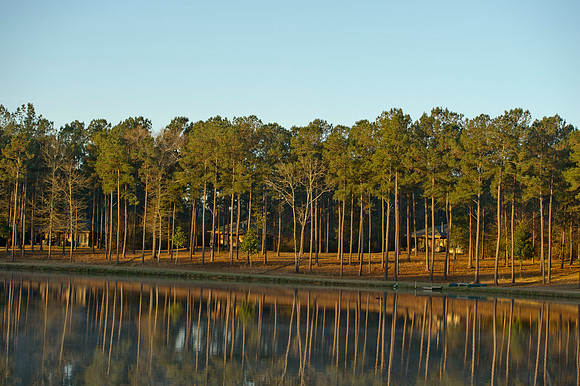 Covey Rise 121