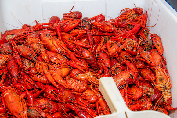 2025 Seafood gala 121