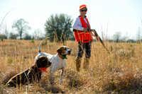 covey rise bird hunt 016