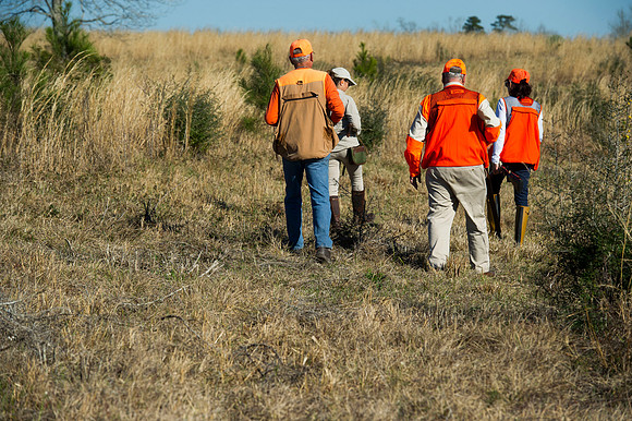 covey rise bird hunt 032