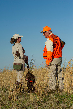 covey rise bird hunt 059
